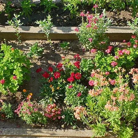 кралимаркови Kralimarkovi