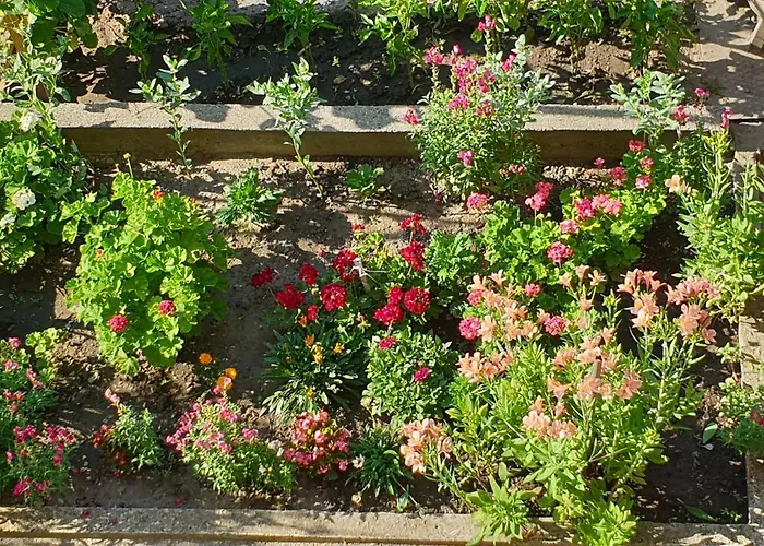 кралимаркови Kralimarkovi